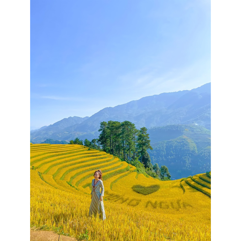 Set áo váy sọc nâu