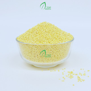Hạt Kê Nếp Vàng Đã Tách vỏ Đặc Sản Nghệ An Bao Dẻo Nấu Bánh Kê, Chè Kê, Cháo Kê 500g cho bé ăn dặm