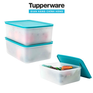 Hộp trữ đông 5.7L dẻo Tupperware