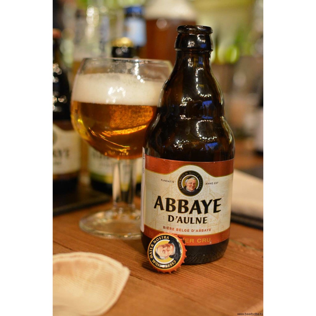 Bia Abbaye D'Aulne Premier Cru 9% - nhập khẩu Bỉ - 1 chai 330ml