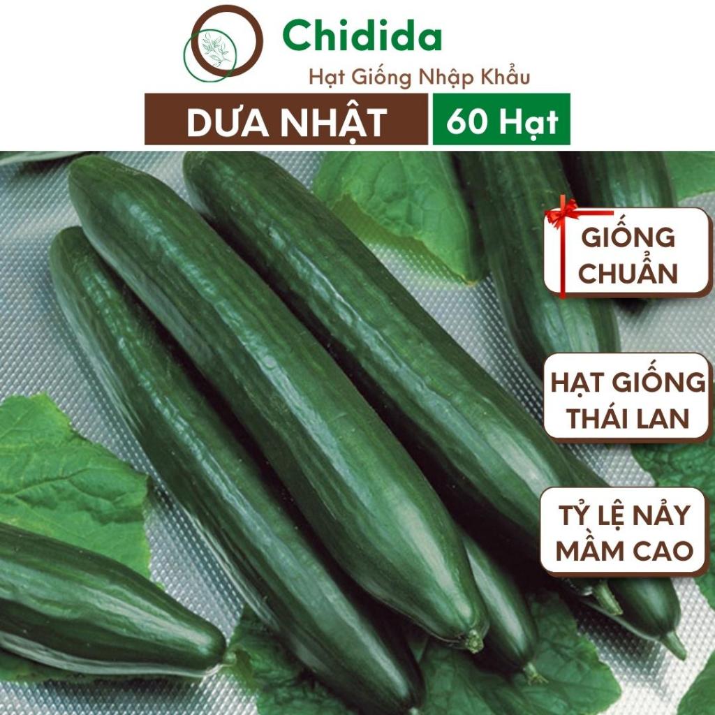 Hạt giống dưa chuột kiếm nhật Chidida dưa leo kiếm nhật Thái Lan chịu nhiệt sinh trưởng mạnh năng suất cao