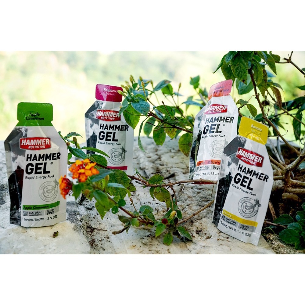 Gel năng lượng chạy bộ Hammer Nutrition