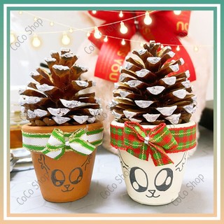 Cây thông mini, Cây thông noel trang trí từ trái thông khô