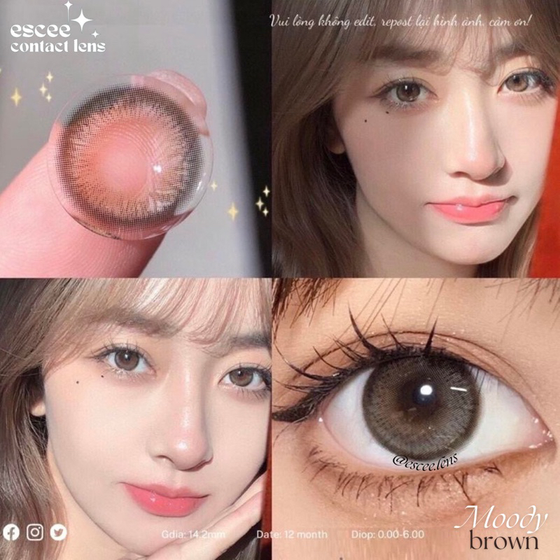 1 Cặp Lens kính áp tròng Hàn Quốc Moody Brown - nâu trầm giãn tròng 14.2mm có độ cận 0 - 9 độ ( tặng kèm khay gương )