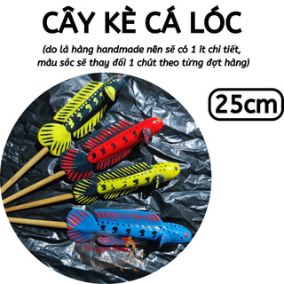 Cây kè cá lóc kích cá xung 3 khía - Sản phẩm giúp cá xung | Hingaostore.