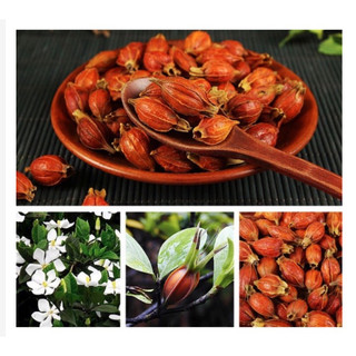Quả Dành Dành sấy khô 50g