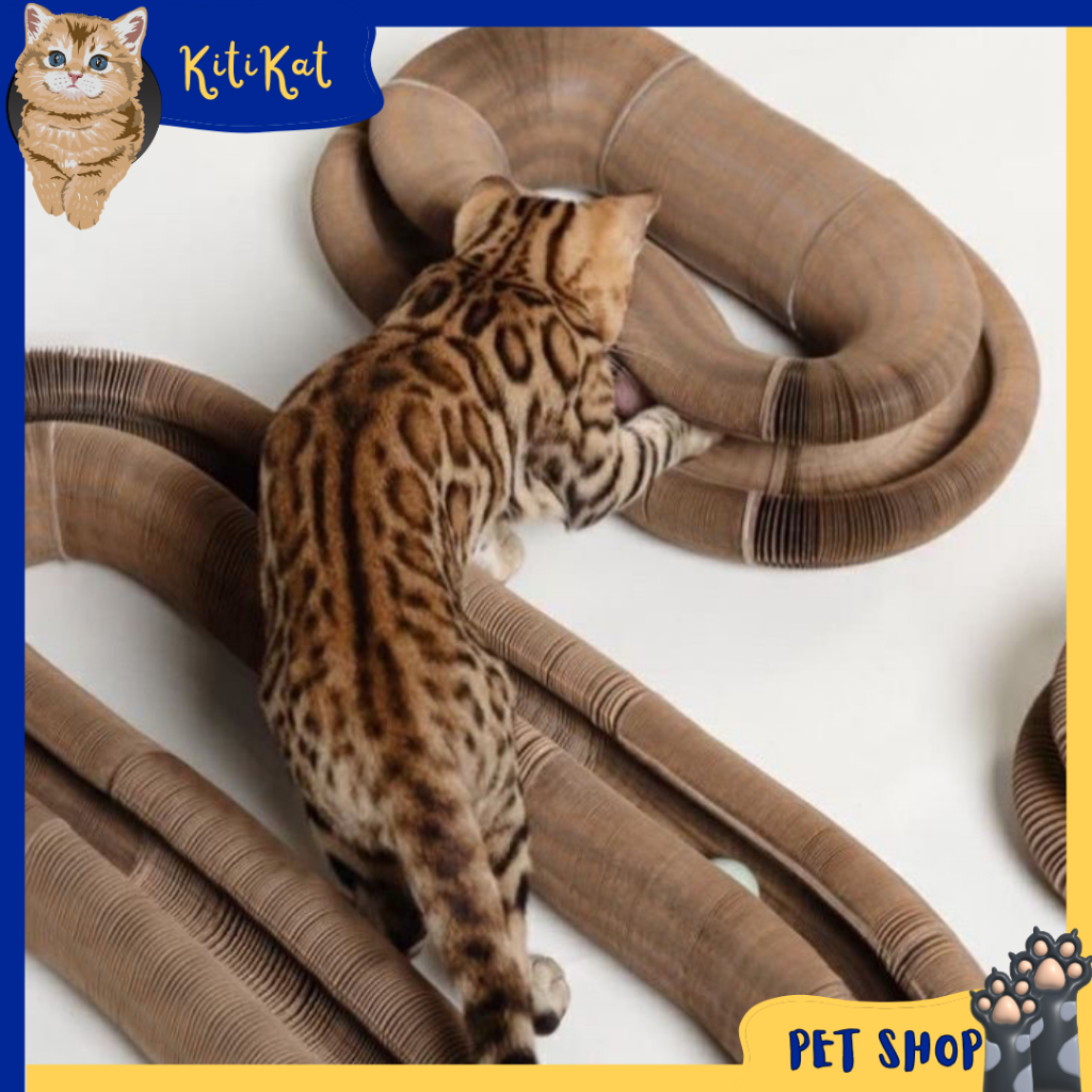 Đồ chơi cho mèo cào móng, Bàn cào móng ma thuật cho mèo, Đồ chơi xoay tròn thay đổi hình dạng nhiều kích thước