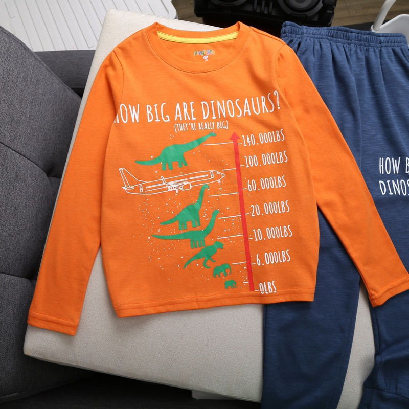 Bộ thun dài tay Pingbong