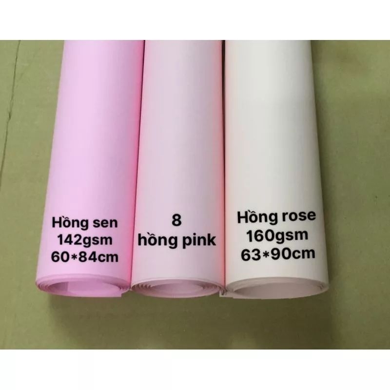 Set cánh hoa hướng dương