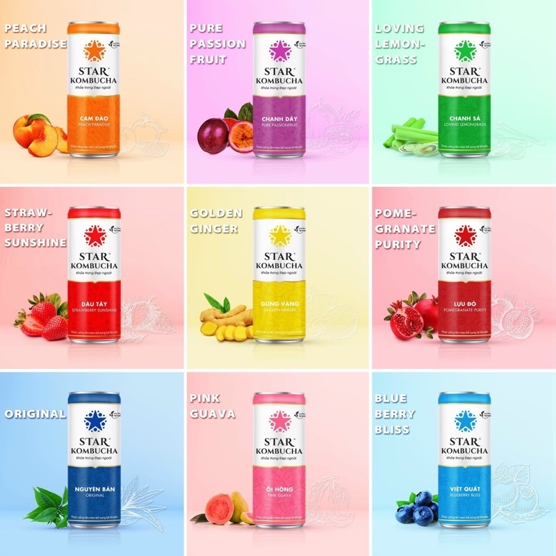 Starkombucha Trà lên men lợi khuẩn tốt cho sức khỏe