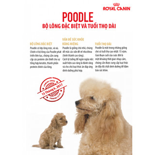 [1.5kg] ROYAL CANIN POODLE PUPPY