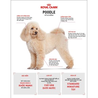 [1.5kg] ROYAL CANIN POODLE PUPPY