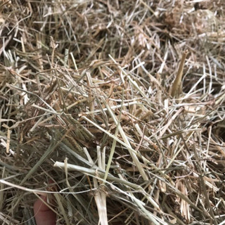 Cỏ mần trầu khô 500g