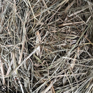 Cỏ mần trầu khô 500g