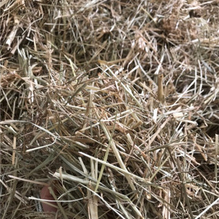 Cỏ mần trầu khô 1kg