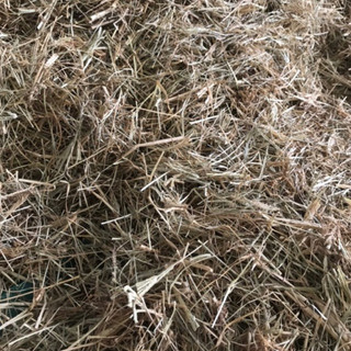 Cỏ mần trầu khô 1kg
