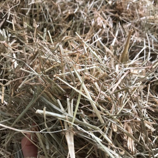 Cỏ mần trầu khô 1kg