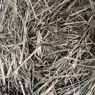 Cỏ mần trầu khô 1kg