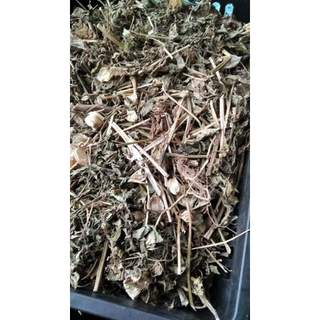 (Dược liệu khô) Cây Tầm Bốp 500g phơi khô ( cây lồng đèn, bùm bụp, bôm bốp, thù lù cạnh)