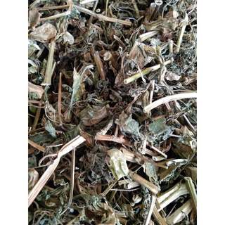 (Dược liệu khô) Cây Tầm Bốp 500g phơi khô ( cây lồng đèn, bùm bụp, bôm bốp, thù lù cạnh)