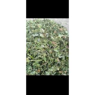 (Dược liệu khô) Cây Tầm Bốp 500g phơi khô ( cây lồng đèn, bùm bụp, bôm bốp, thù lù cạnh)