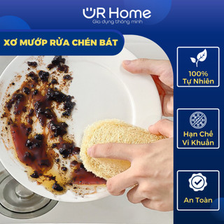 Xơ mướp tự nhiên rửa chén bát urhome