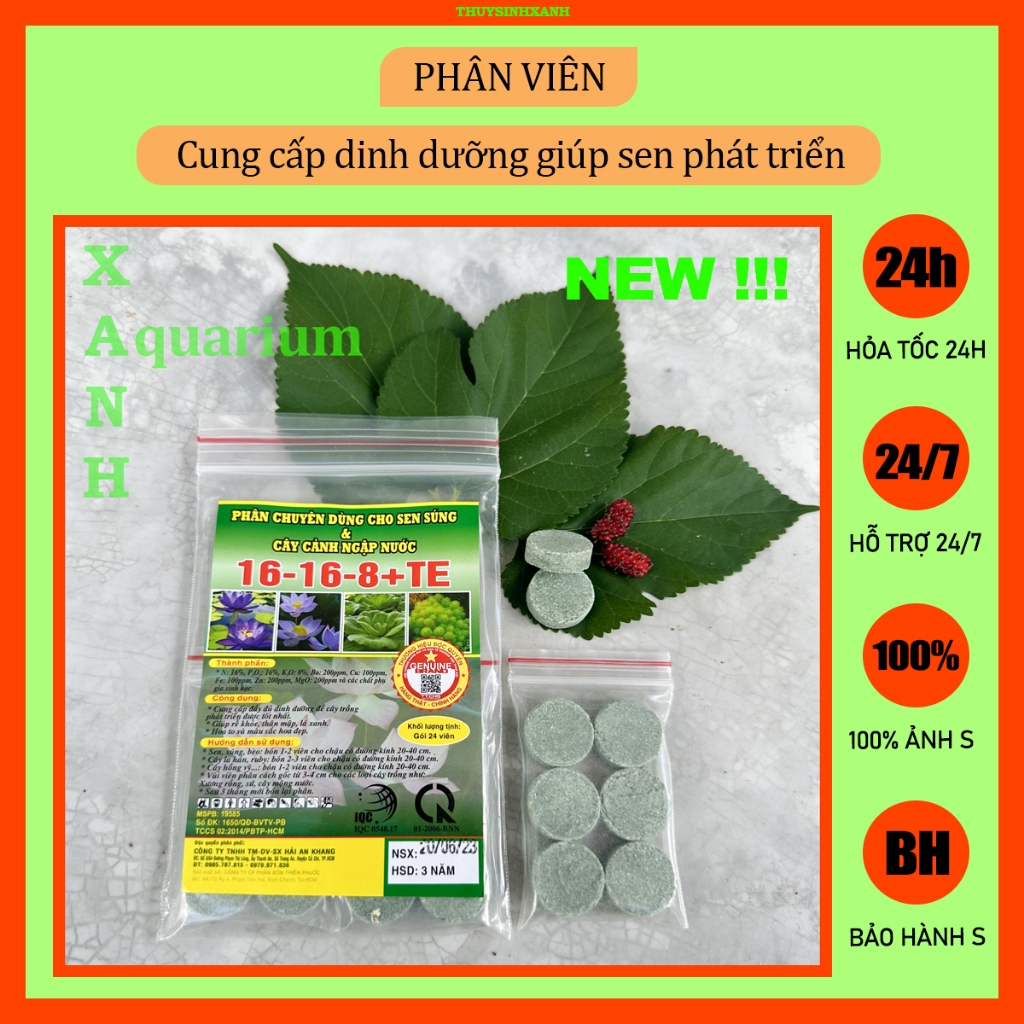 Viên phân bón cho sen súng cảnh