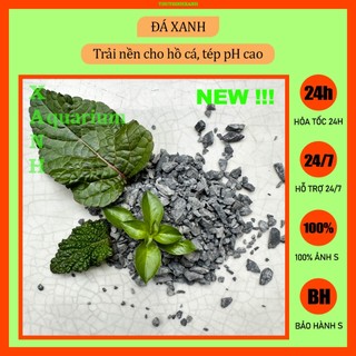 Đá xanh trang trí, trải nền hồ tép cảnh thủy sinh