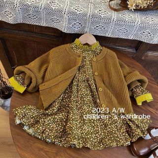 váy đầm bé gái và áo len dài tay đầm chất thô kiểu dáng công chúa hàn quốc VT96 size 90-130 9-27 kg hàng quảng châu