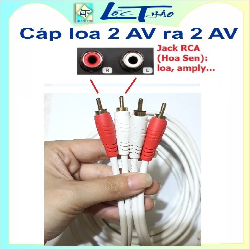 Cáp loa 4 đầu AV hoa sen dài 15M 20M 25M 30M cao cấp Jstar Dây loa av 2 ra 2