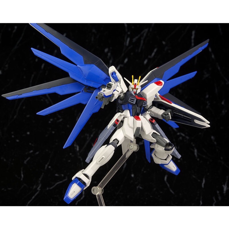 Mô Hình Lắp Ráp Gundam ZGMF - X10A FREEDOM FIGHTER 192