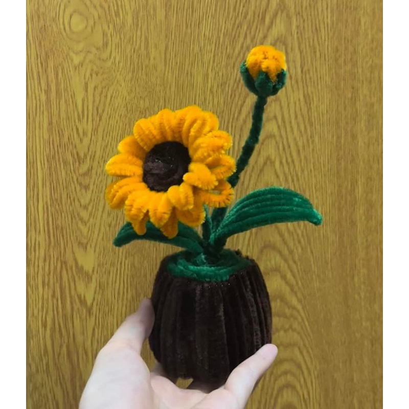 Chậu hoa mini handmade để bàn