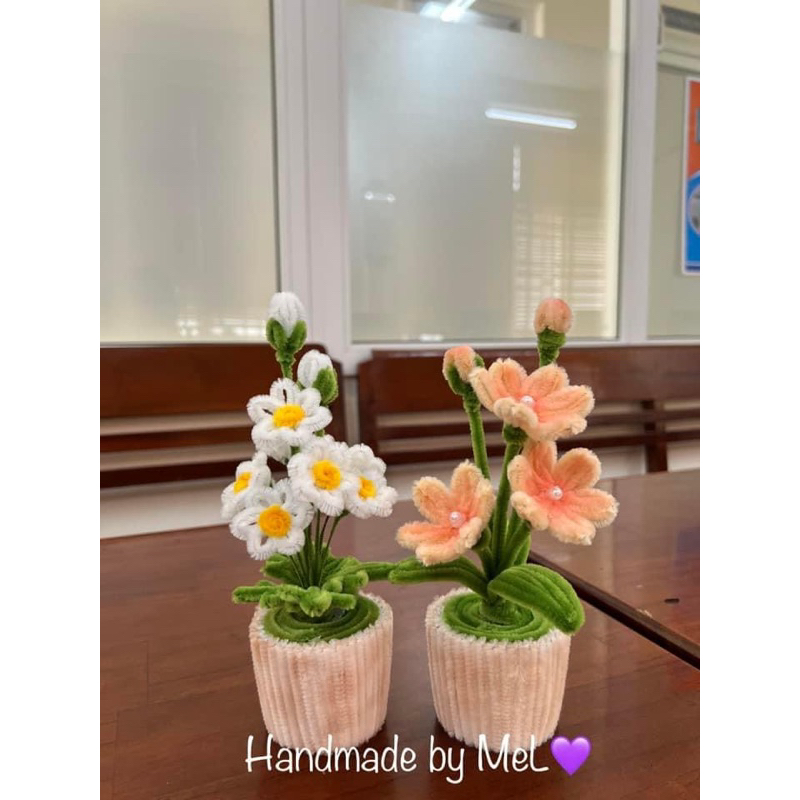 Chậu hoa mini handmade để bàn