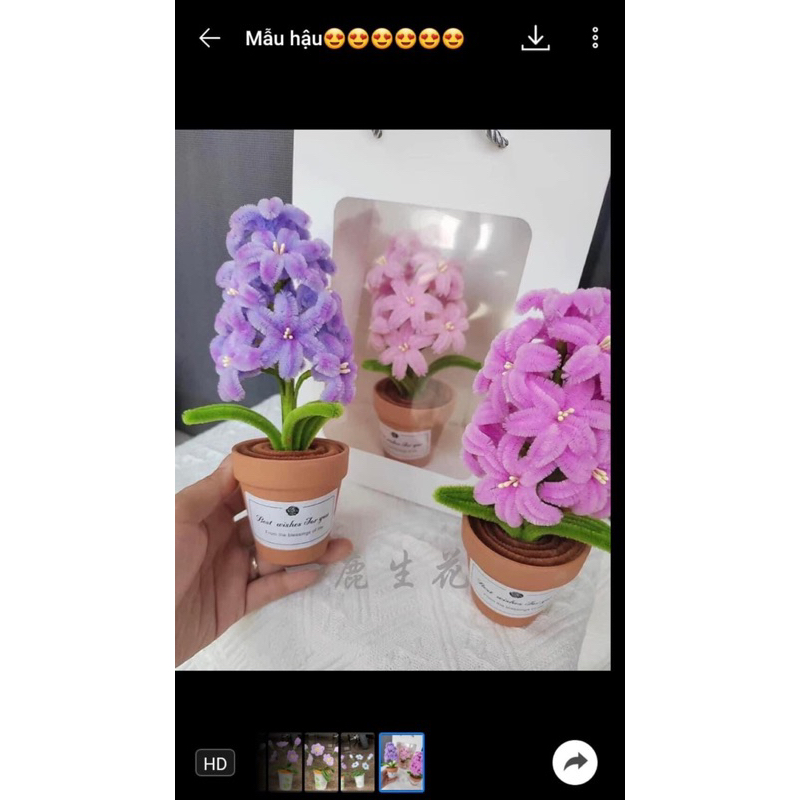 Chậu hoa mini handmade để bàn