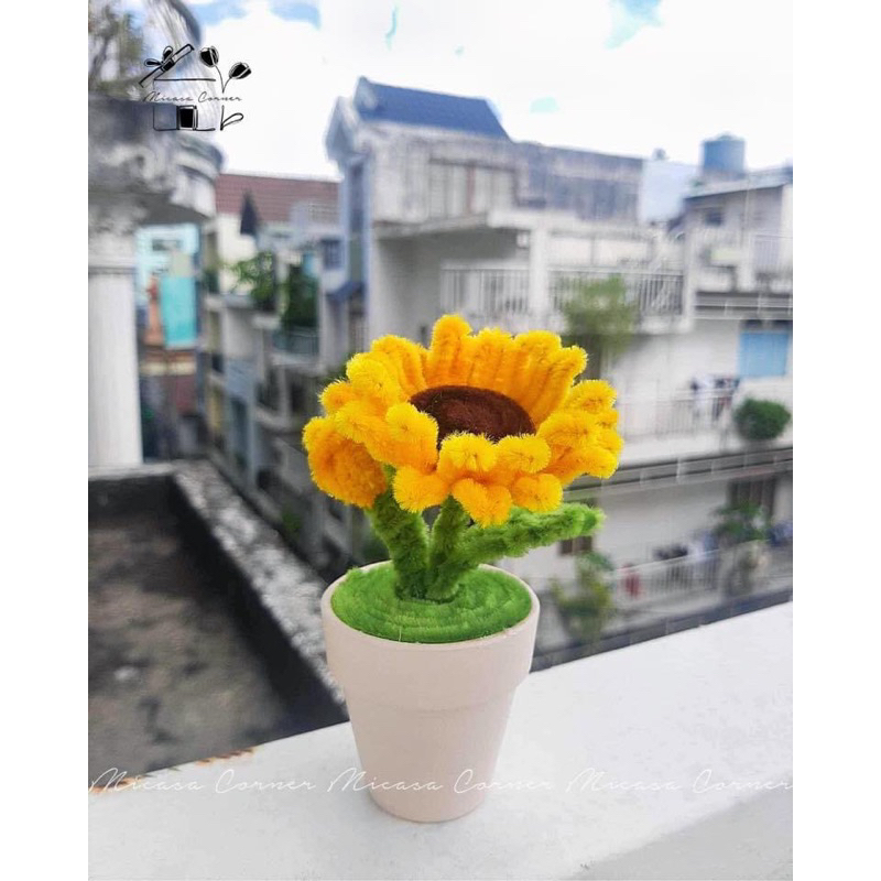 Chậu hoa mini handmade để bàn