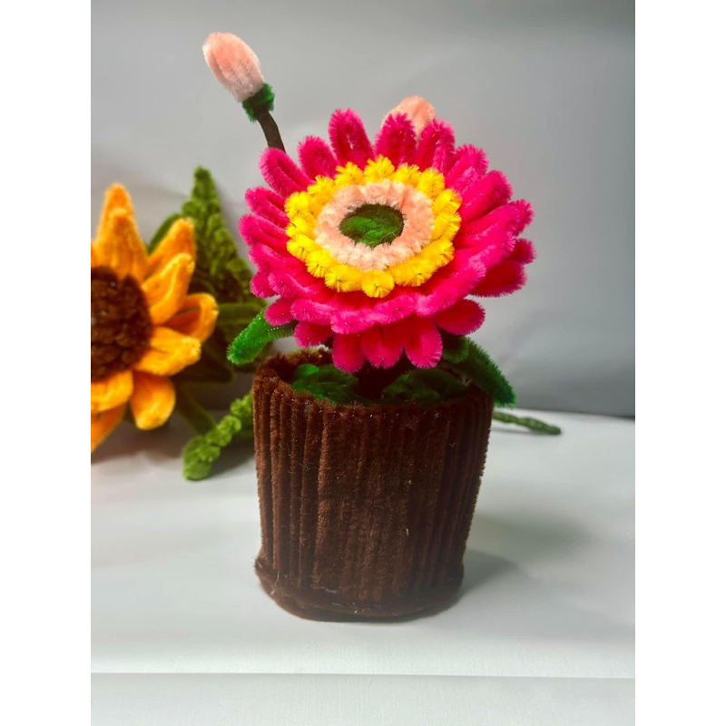 Chậu hoa mini handmade để bàn