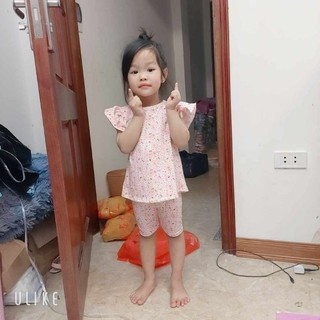 Set đồ bộ cotton bé gái