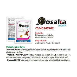 Ốc ô sa ka 70gram tề thiên