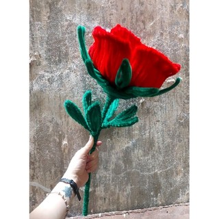 Hoa hồng kẽm nhung