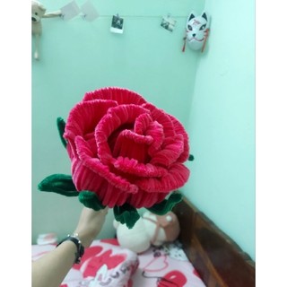 Hoa hồng kẽm nhung