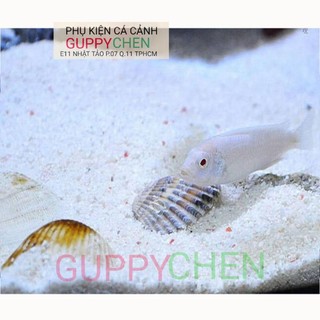 Cát màu - cát thạch anh trắng trang trí hồ cá thủy sinh terarium