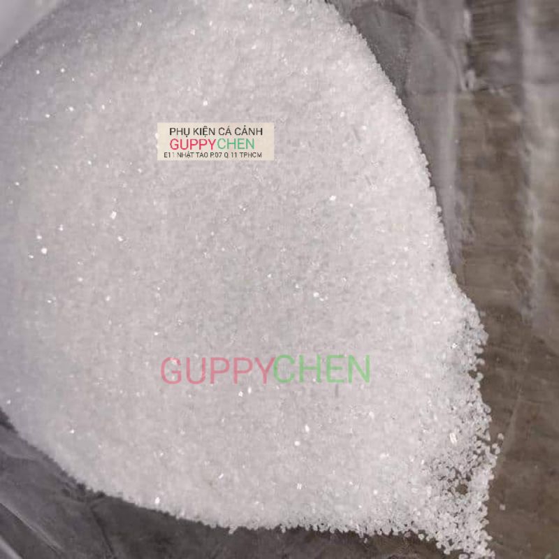 Cát Màu - Cát Thạch Anh Trắng Trang Trí Hồ Cá Thủy Sinh Terarium