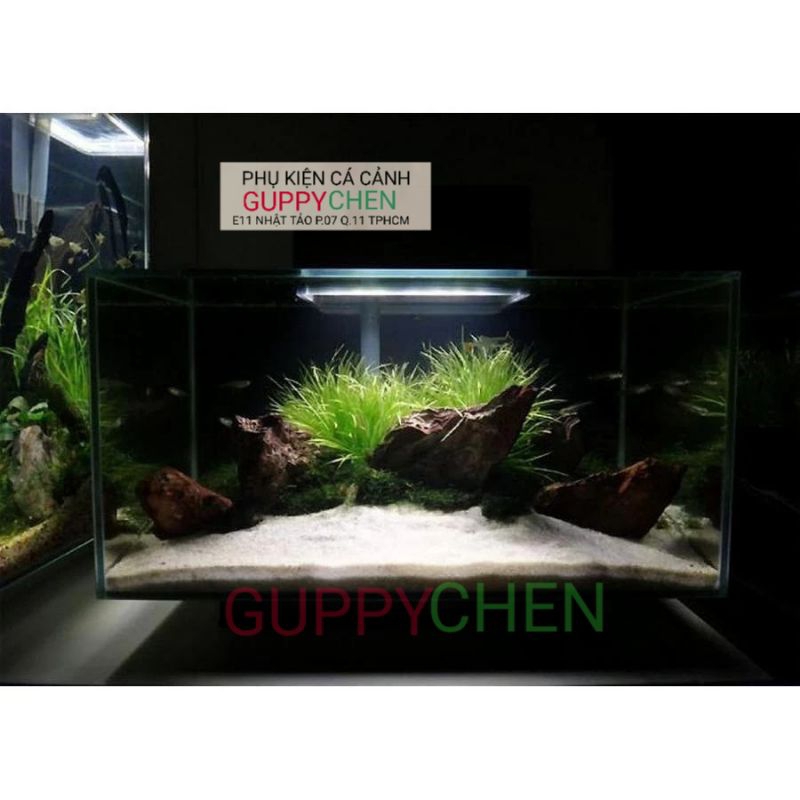 Cát Màu - Cát Thạch Anh Trắng Trang Trí Hồ Cá Thủy Sinh Terarium