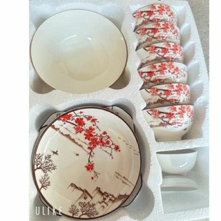 Bộ bát đĩa 11 món sứ cao cấp