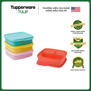 Bộ hộp cơm lolly tup chính hãng tupperware 100%