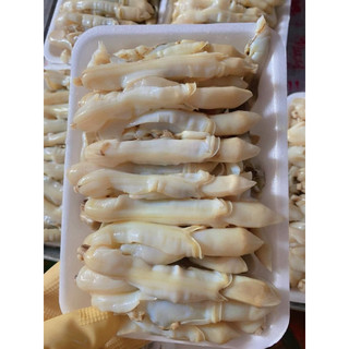 Ruột ốc móng tay - thịt ốc móng tay tươi đã tách vỏ & làm sạch - - khay 500g
