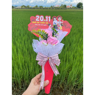 Hoa ốc quế chào mừng ngày 20/11