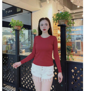 Áo giữ nhiệt thun tăm Vicci dài tay cổ tròn co giãn 4 chiều mặc thu đông sang chảnh màu đỏ mận