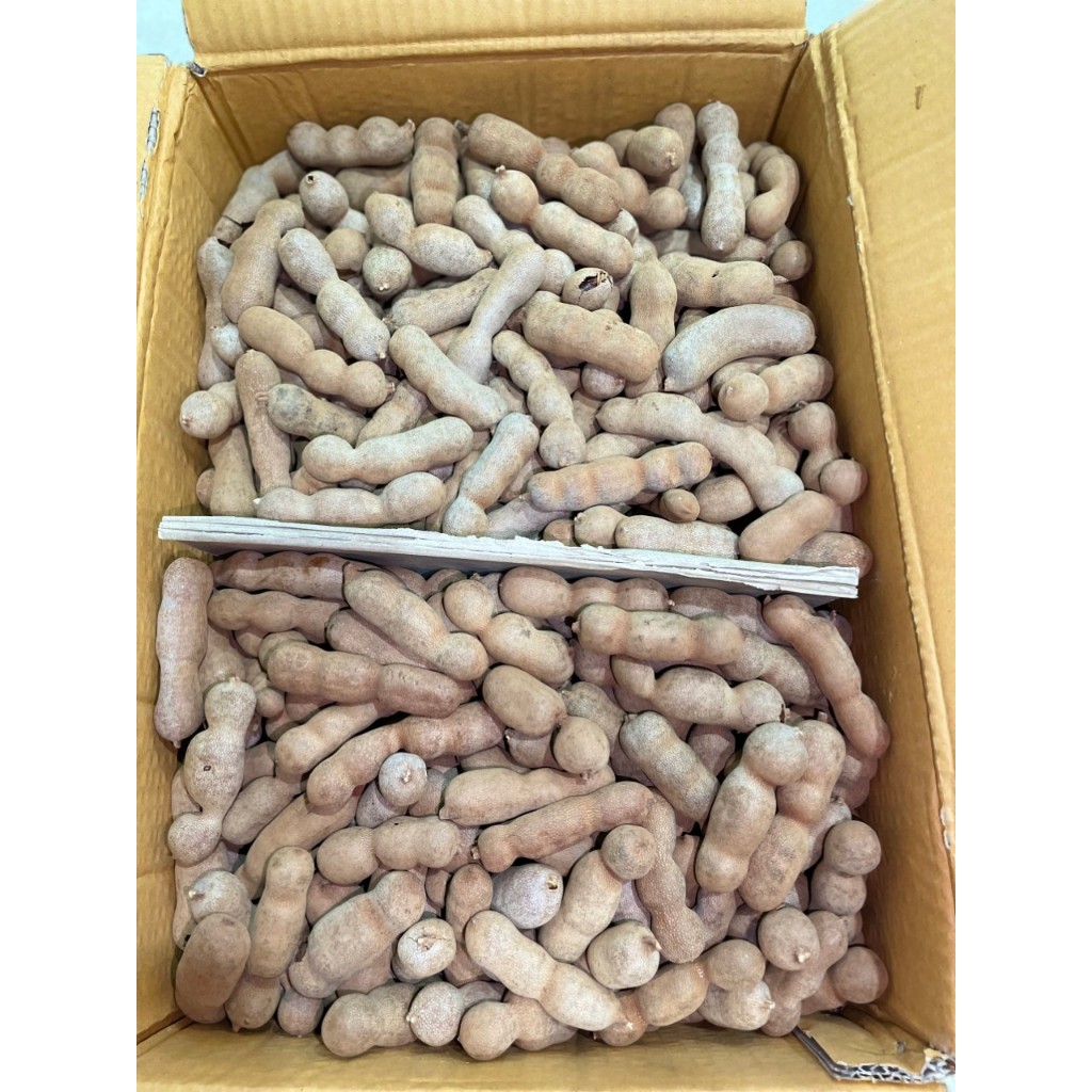 1 túi Me Thái 500gr ngọt dẻo