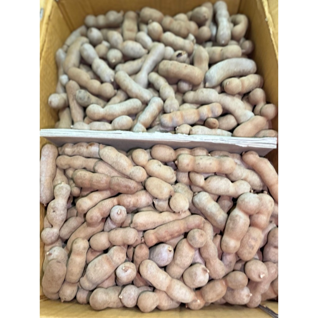 1 túi Me Thái 500gr ngọt dẻo